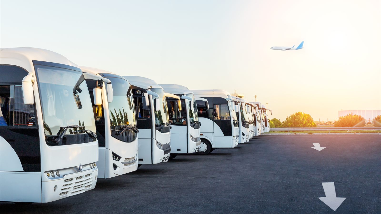 A line of coaches parked at sunset